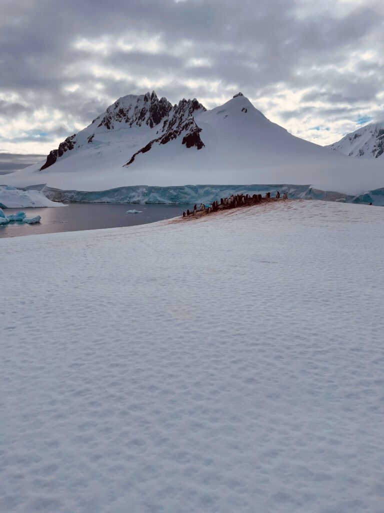 Winter wonderland of Antarctica with floating icebergs and snow