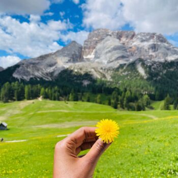 Solo female traveler with raised hands hiking in the Dolomites mountains surrounded by wildflowers and scenic views in Italy