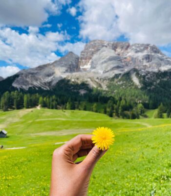 Solo female traveler with raised hands hiking in the Dolomites mountains surrounded by wildflowers and scenic views in Italy