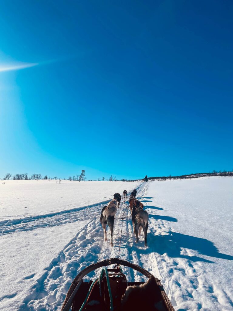 Solo female traveler in Tromsø, Norway enjoying a husky sledding tour through snowy Arctic landscapes