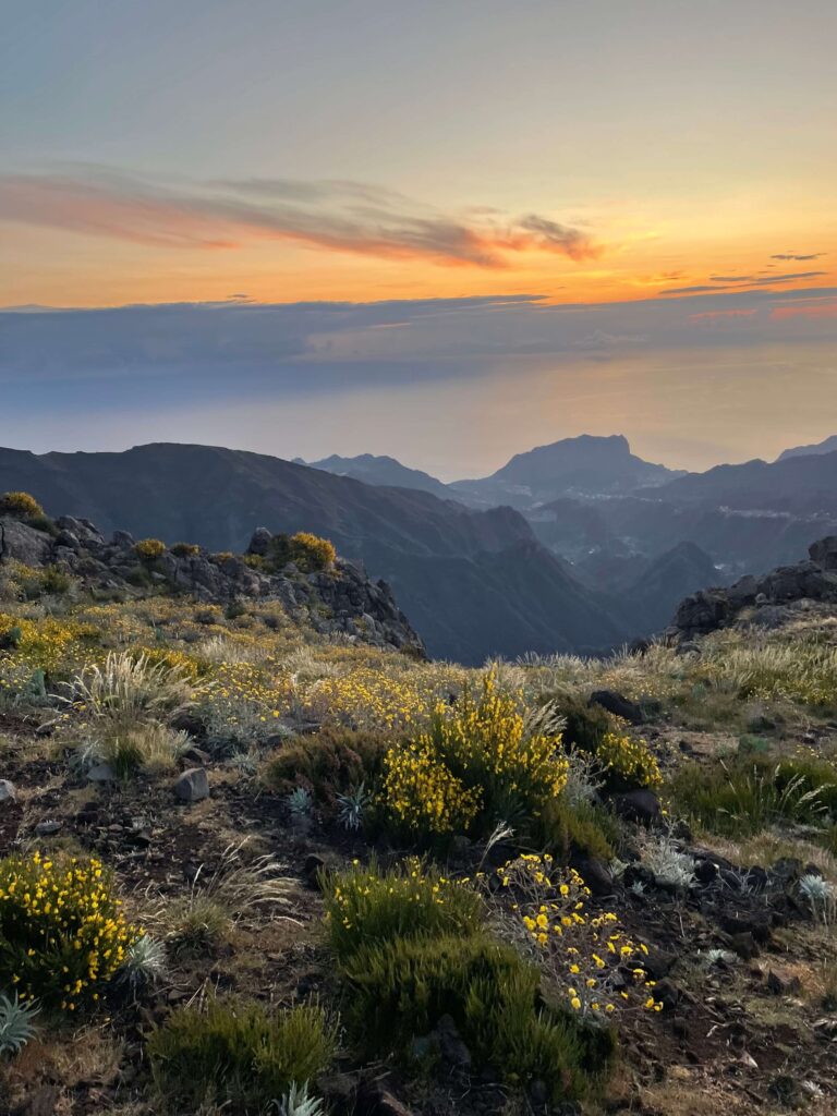 Solo female traveler exploring Madeira