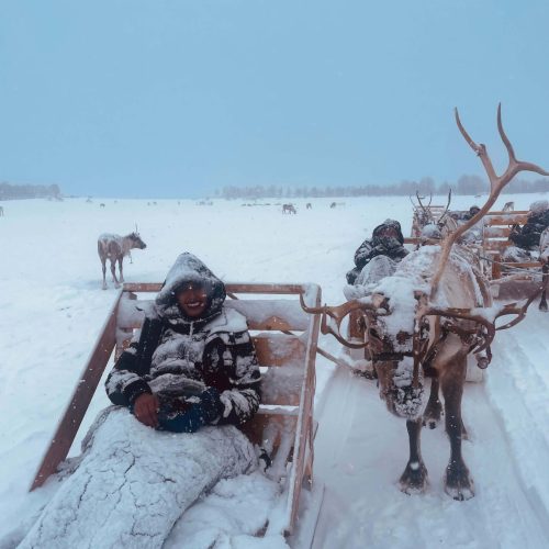 Solo female traveler riding reindeer sled in Norway