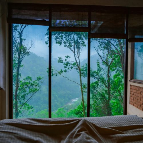 Forest landscape seen from a bedroom window, ideal for a nature retreat